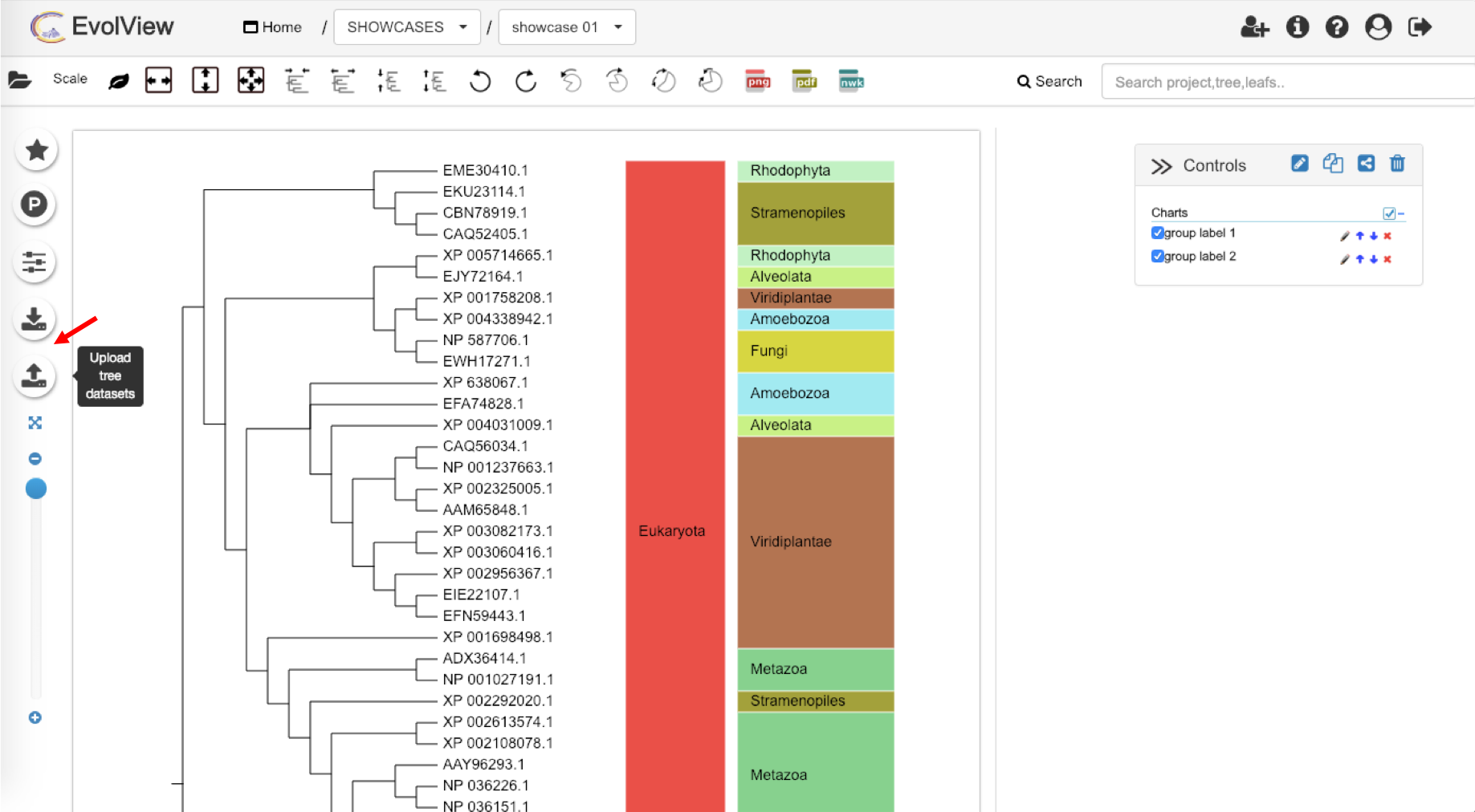 Showing upload dataset button