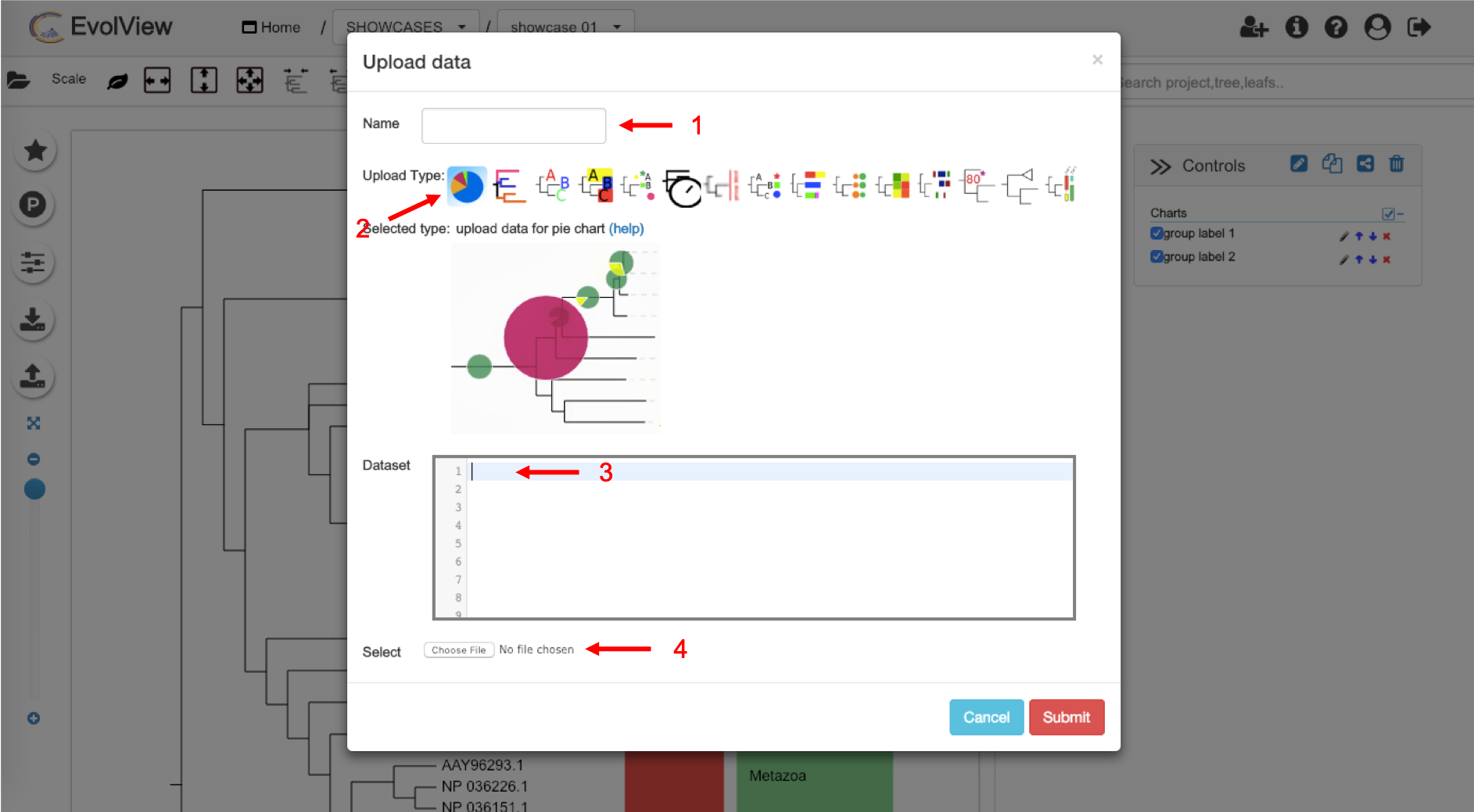 upload window with options